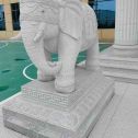 吴忠 白麻花岗岩动物异形石雕-大象