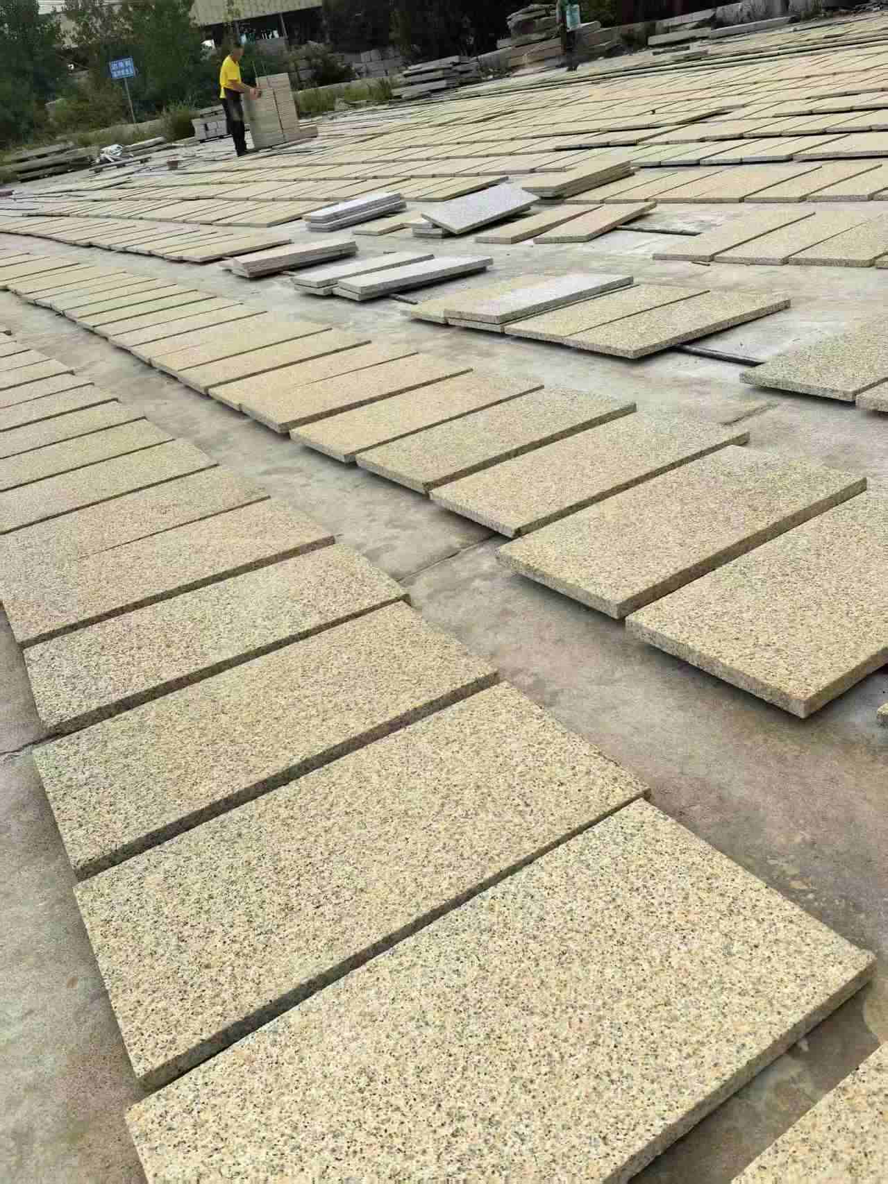 吴忠 黄金麻荔枝地铺石面排板